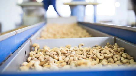 Cashew Dryer (Tray or Conveyor Type) Image
