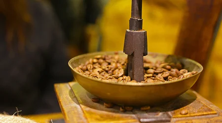 Cashew Shelling Machine Image
