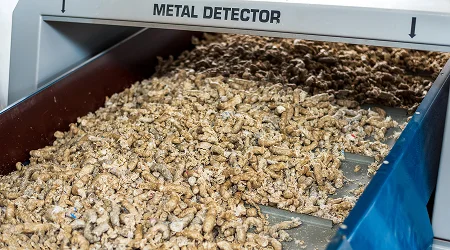 Cashew Steaming Image