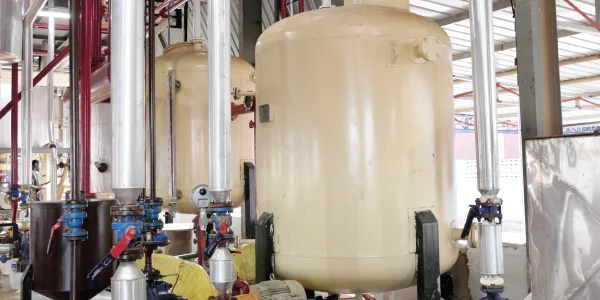 Mechanical Extraction Plant image