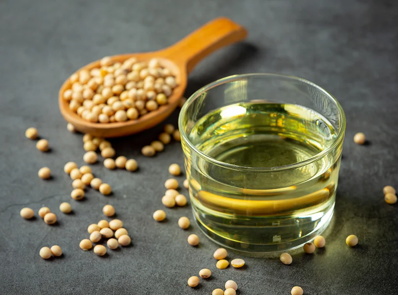  Soya Bean Processing Machinery & Solutions for producing soya protein concentrate via alcohol extraction, de-solventizing, and drying processes.