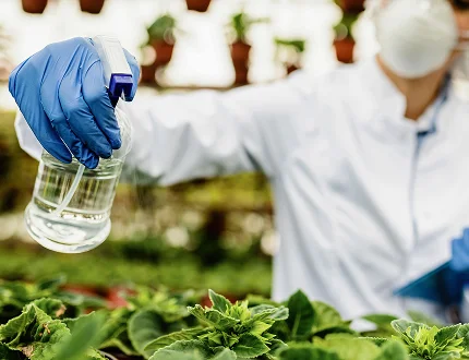  Scientist spraying plants - Palm Oil Processing & Extraction Equipment, Sungates Technologies