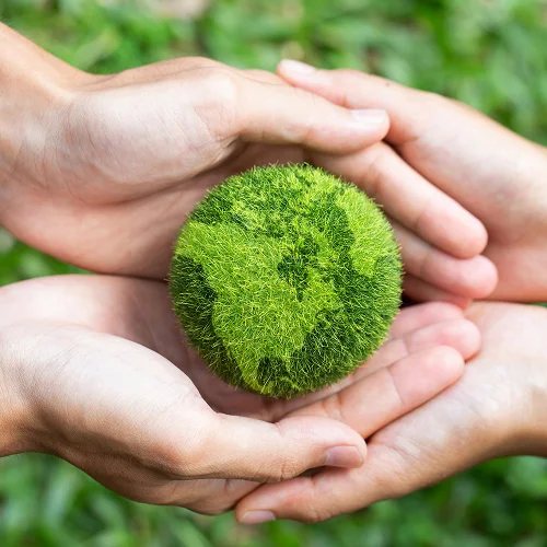 Two pairs of hands gently cradle a green, grassy sphere resembling Earth, symbolizing care for the environment—reflecting the commitment of an Edible Oil Refinery Plant Manufacturer—with a blurred green background.